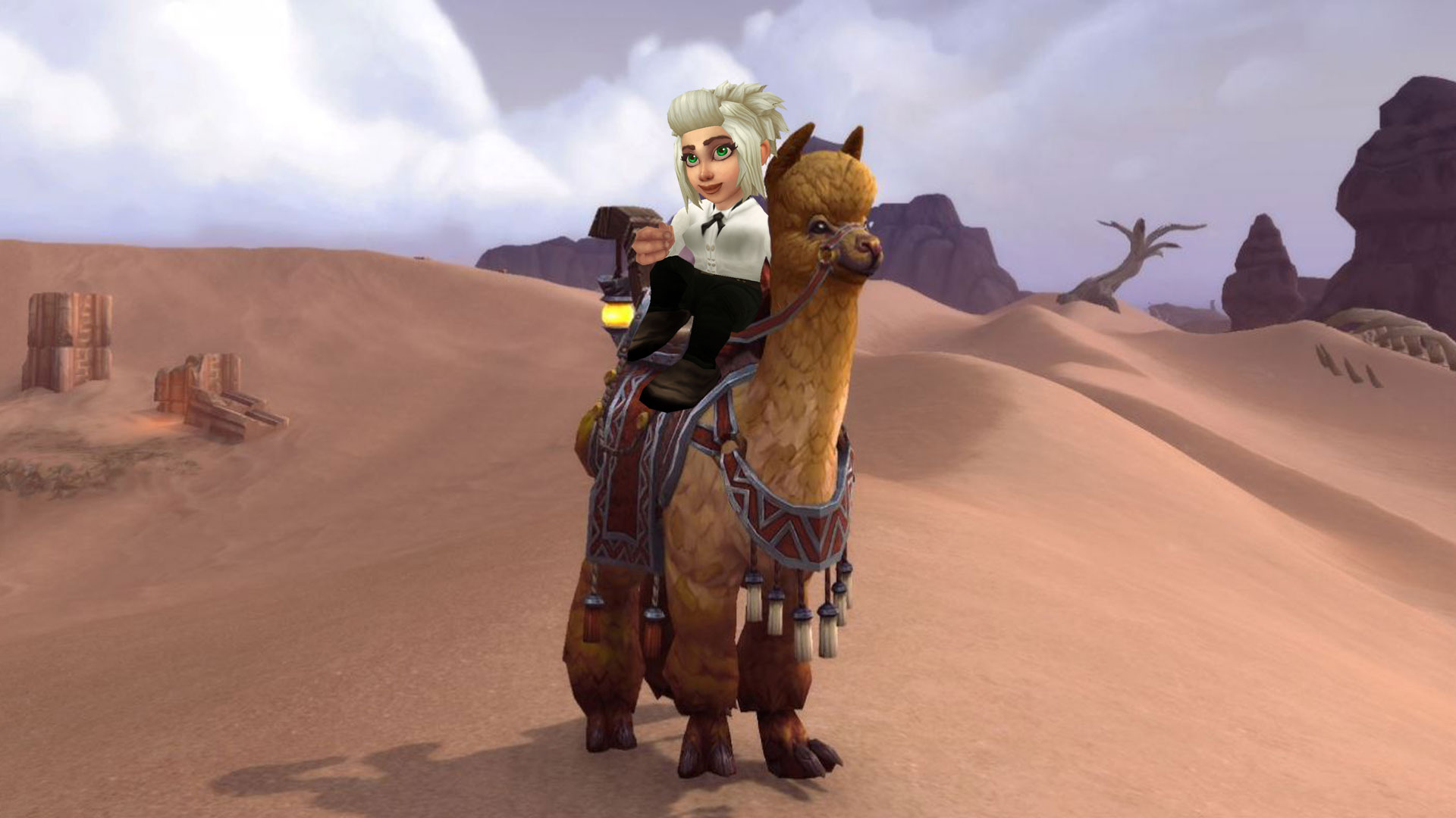 Alpaka Reittier Guide!