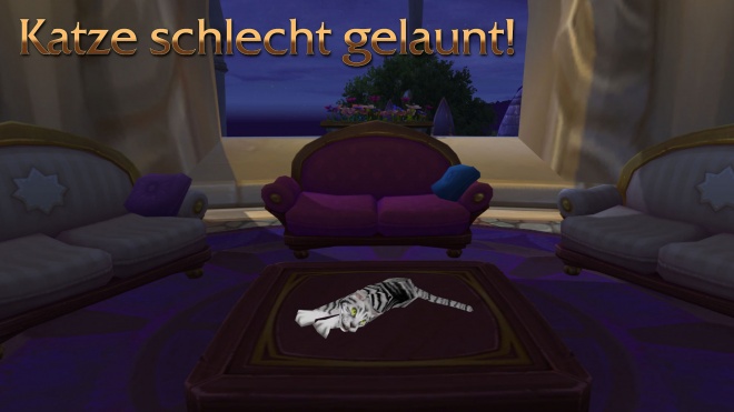 Katze schlecht gelaunt!