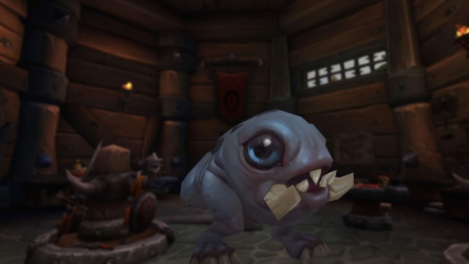 Neue Haustiere und Reittiere in 8.1